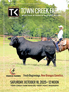 Town Creek Farm Catalog 2025
