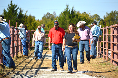 Town Creek Farm Sees Powerful Demand for Genetics