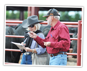 Town Creek Farm Sees Powerful Demand for Bulls and Commercial Heifers